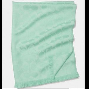 Coach Wrap Scarf - wool & silk - mint green
